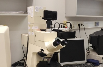 Kutatómikroszkóp laboratórium